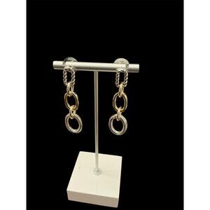 Two Tone Link Earrings